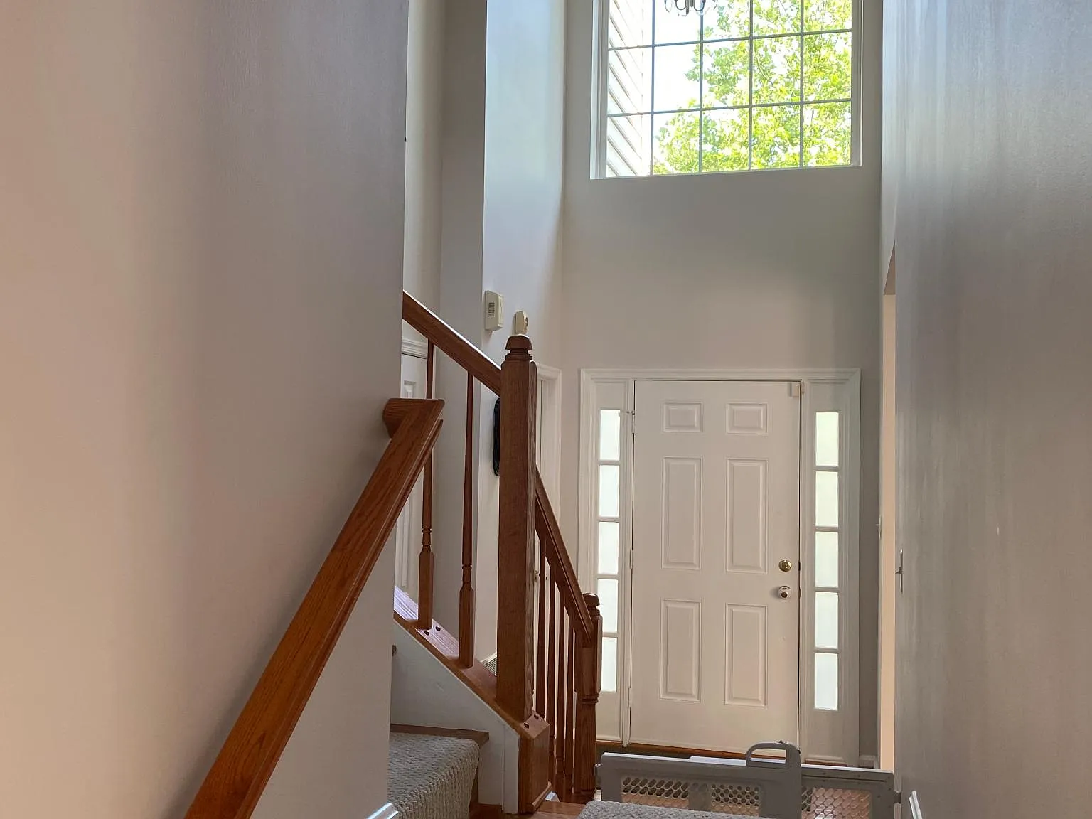 11047 Birchtree Ln — Photo 3