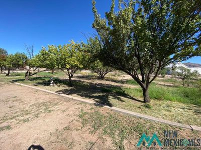 13 Chestnut St, Rodeo, NM, 88056