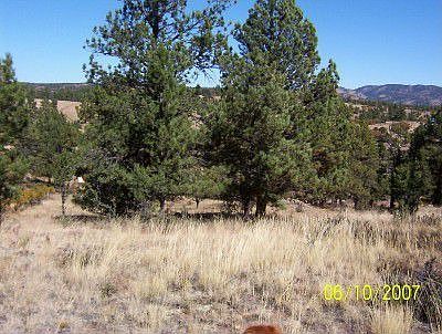 Building site for your mountain home