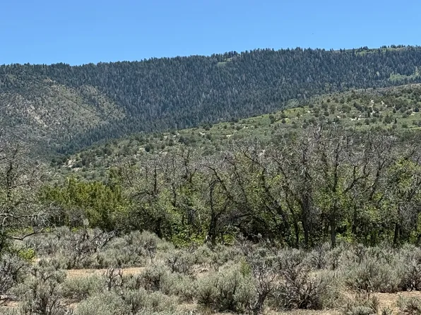 9 E Hollow Rd, Spring City, UT 84662