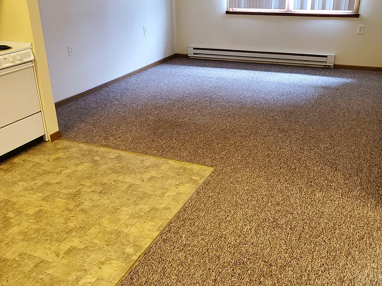 419 S 1st St #201 — Photo 9