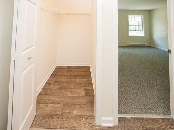 Walk in closet in foyer