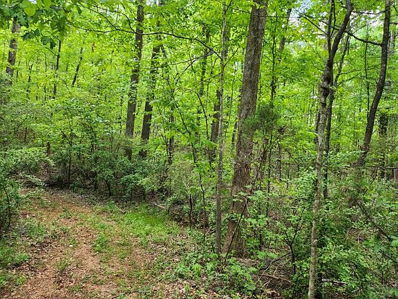 5th image of 703/ACRE S Leroy Rd