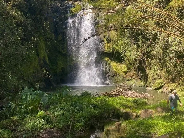 32-473 Wailele Rd, Papaaloa, HI 96780