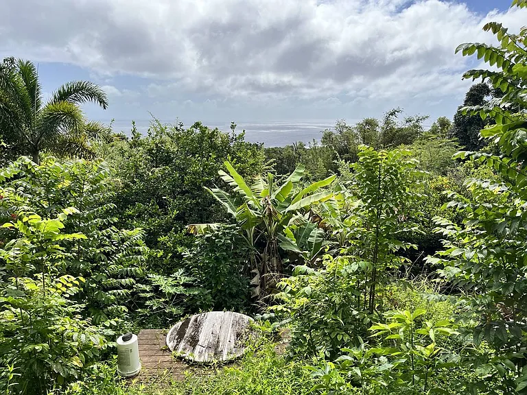 41075 Hana Hwy — Photo 5