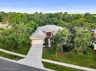 10414 Palmgren Ln, Spring Hill, FL 34608