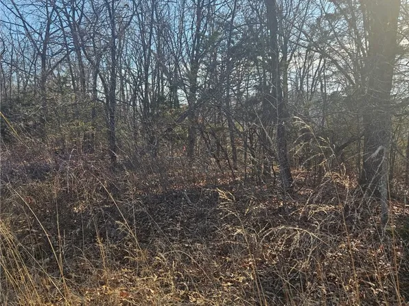 Poley Trl, Omaha, AR 72662