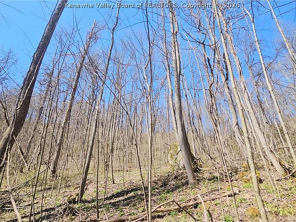 3rd image of X Bufflick Rd