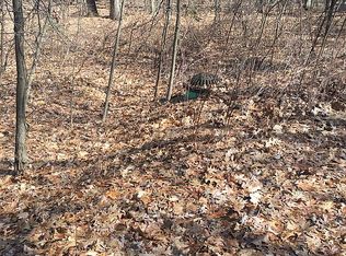 Rumur Ln, Pierson, MI 49339