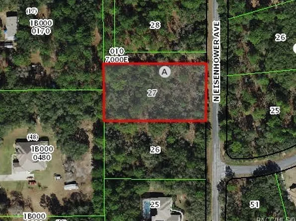 3882 N Eisenhower Ave, Hernando, FL 34442
