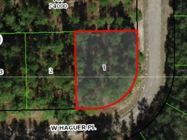 747 W Haguer Pl, Citrus Springs, FL 34434