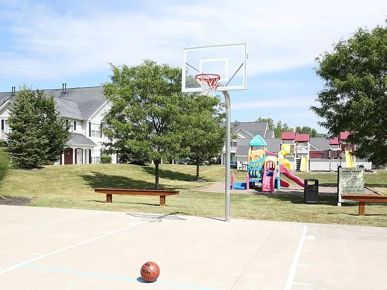 Activity Area
