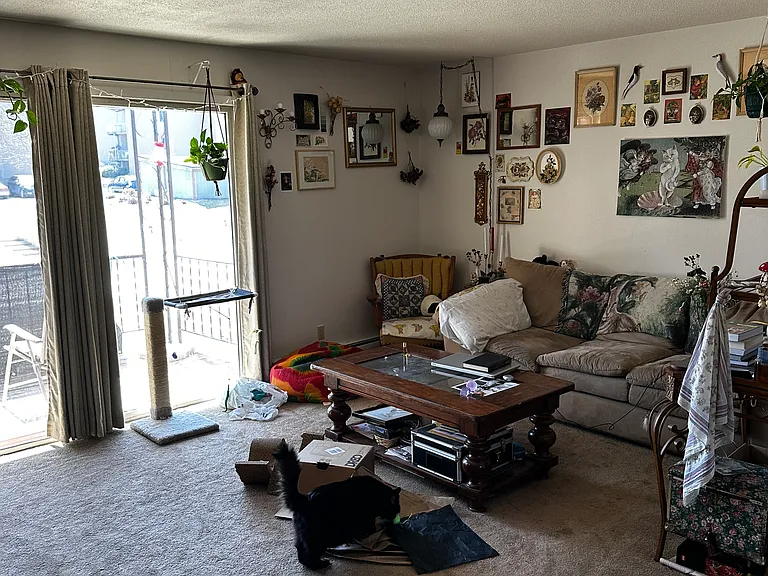 204 Haywood Dr #204 — Photo 8