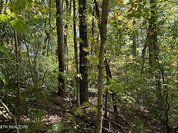 4th image of 37 Joy Way Lot 37