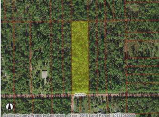 4381 4th Ave NE, Naples, FL 34120