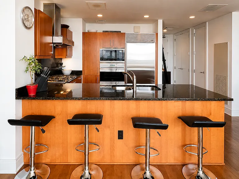 401 N Wabash Ave #46E — Photo 8