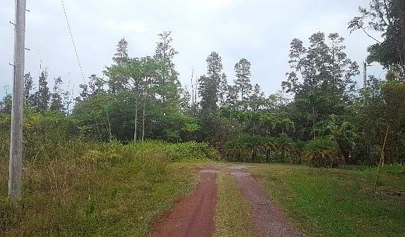 3rd image of Pikake St Lot 18