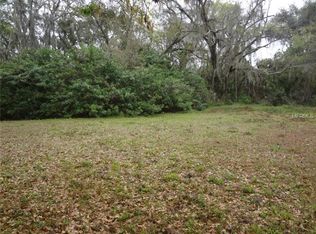 11520 Brancato Ln, Riverview, FL 33578