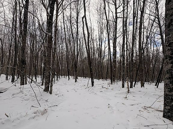 2nd image of 3 Log Lodge Rd