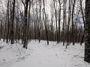 3 Log Lodge Rd, Winter, WI 54896