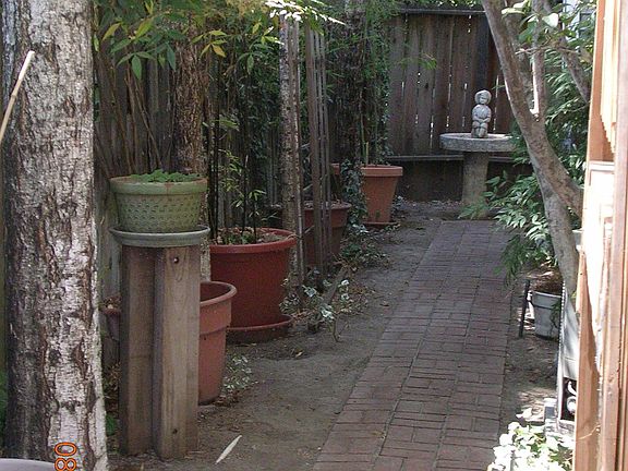 Side Yard