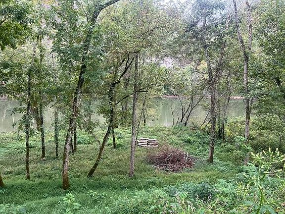 3rd image of 22 Monkey Bluff Rd