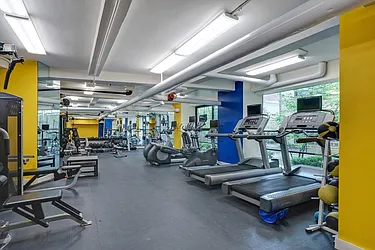 Rented by Prime Manhattan