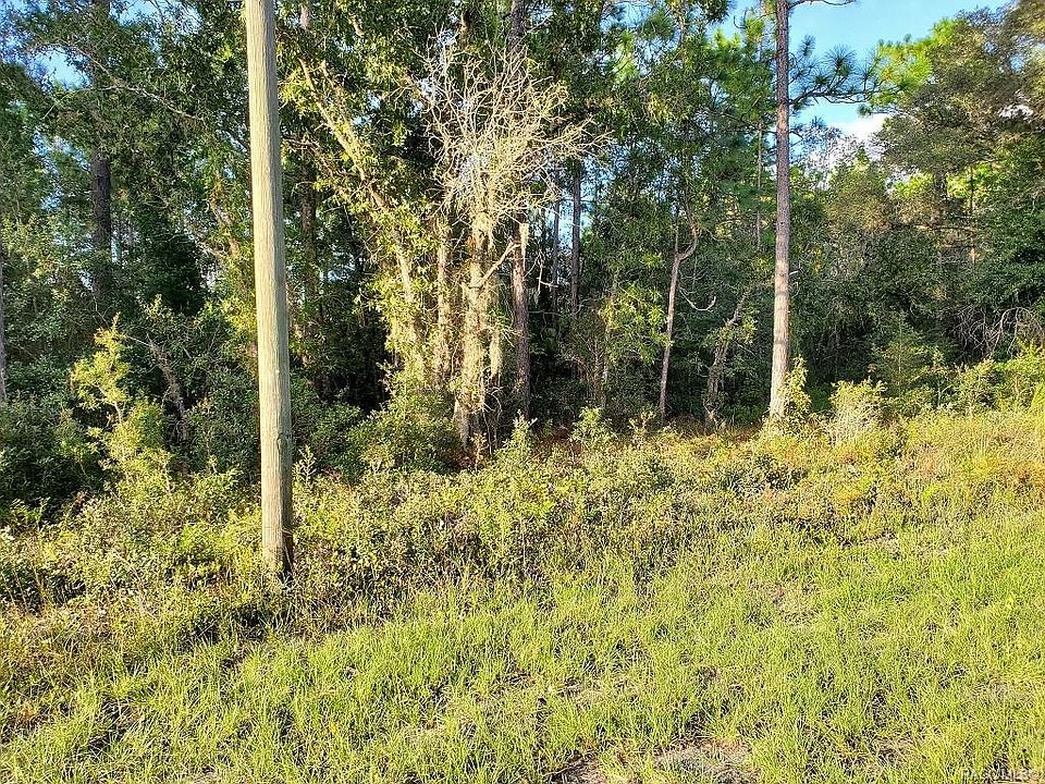 2nd image of 3295 W Cushion Dr