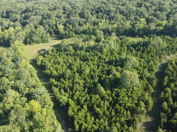 0 Younker Rd Tract 1, Potosi, MO 63664