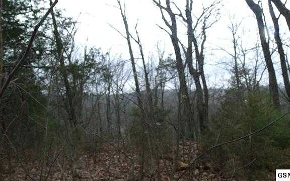 2nd image of 310 Woodlark Way