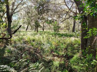 432 W Palmetto Ave, Pierson, FL 32180