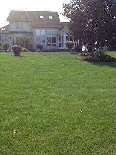 back of house