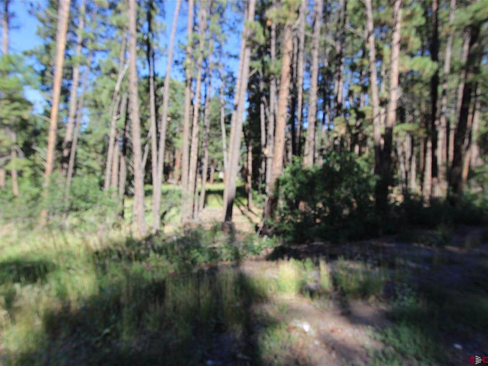2nd image of 811 Pine Valley Rd