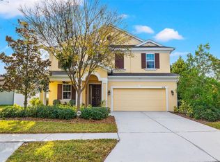 6338 Hawk Grove Ct, Wesley Chapel, FL 33545
