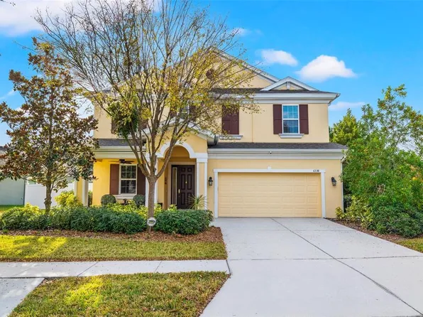 6338 Hawk Grove Ct, Wesley Chapel, FL 33545