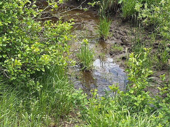 4th image of Nhn Gilt Edge Stage Rd