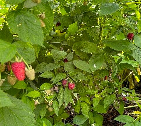 42nd image of this home