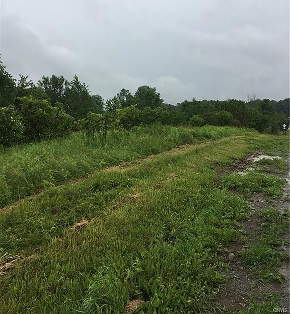 2nd image of 223 Chapman Rd
