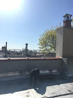 Rented by EXR | media 26