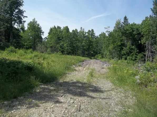 Lot 128C Love Lake Road, Crawford, ME 04694