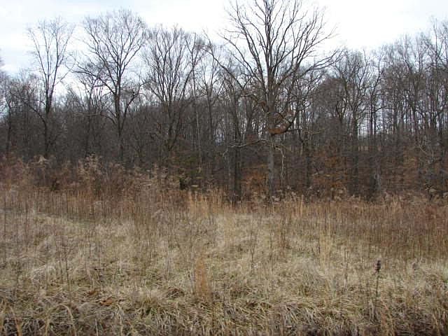 2nd image of 0 Tucky Ln Lot 16