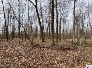 399 Christian Church Rd, Brandenburg, KY 40108