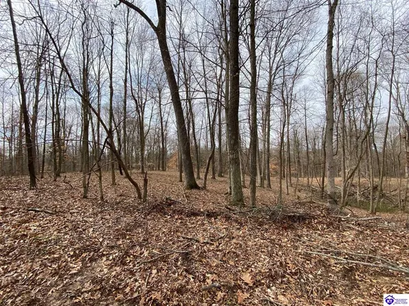 399 Christian Church Rd, Brandenburg, KY 40108