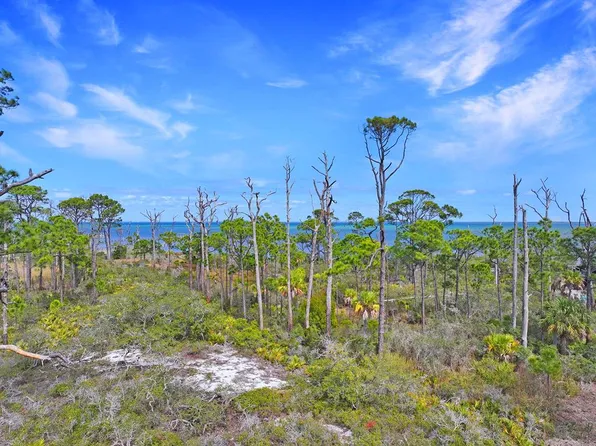 PARCEL Cape San Blas Rd #B, Pt Saint Joe, FL 32456