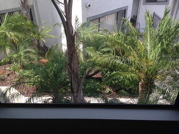 Garden Courtyard