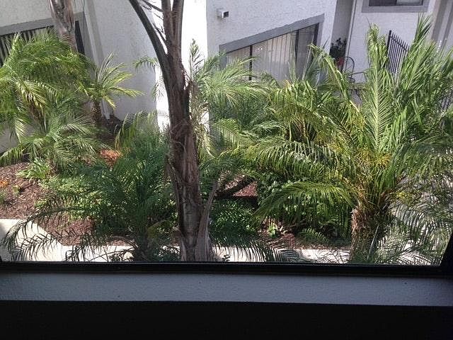 Garden Courtyard