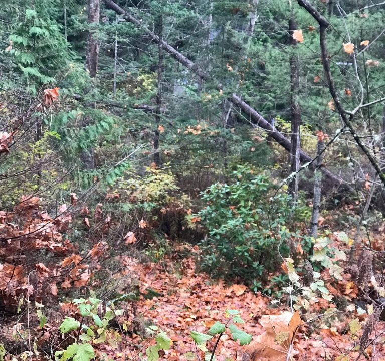 1st image of 1286 Island Dr