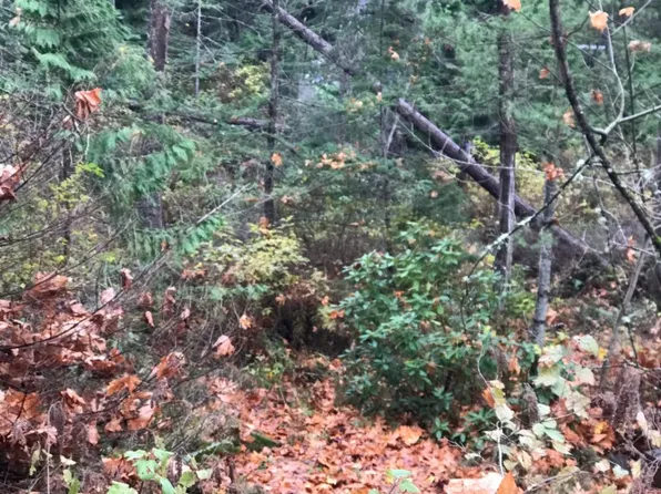 1286 Island Dr, Lummi Island, WA 98262