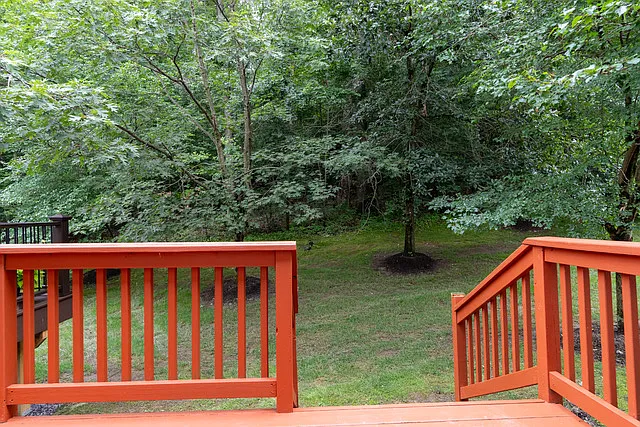 188 Fringetree Dr — Photo 39