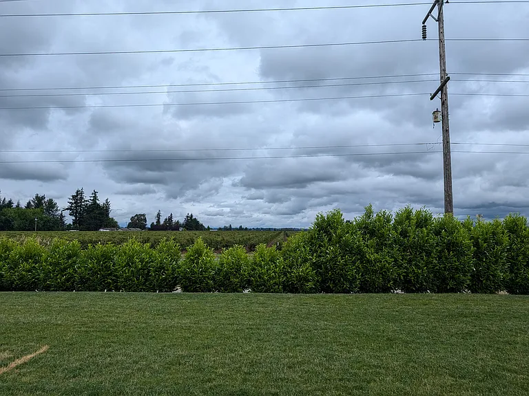 2220 Berryman Loop — Photo 8
